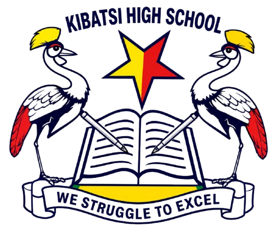 kibatsihighschool